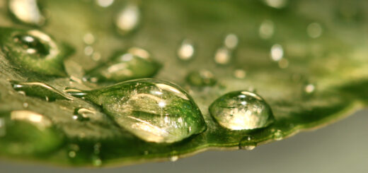 after-the-rain-scaled