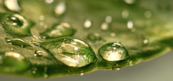 after-the-rain-scaled