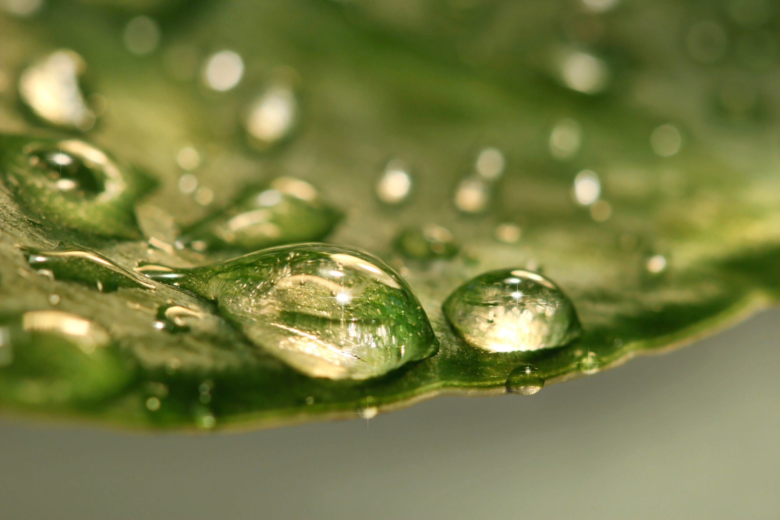 after-the-rain-scaled