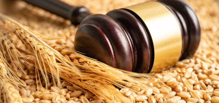 udge-hammer-on-grains-and-wheat-ears-from-organic-agriculture-farm-scaled